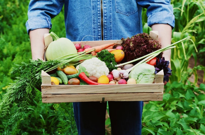 Llaman a cuidar la salud de las personas y del planeta en el Día Mundial de la Alimentación